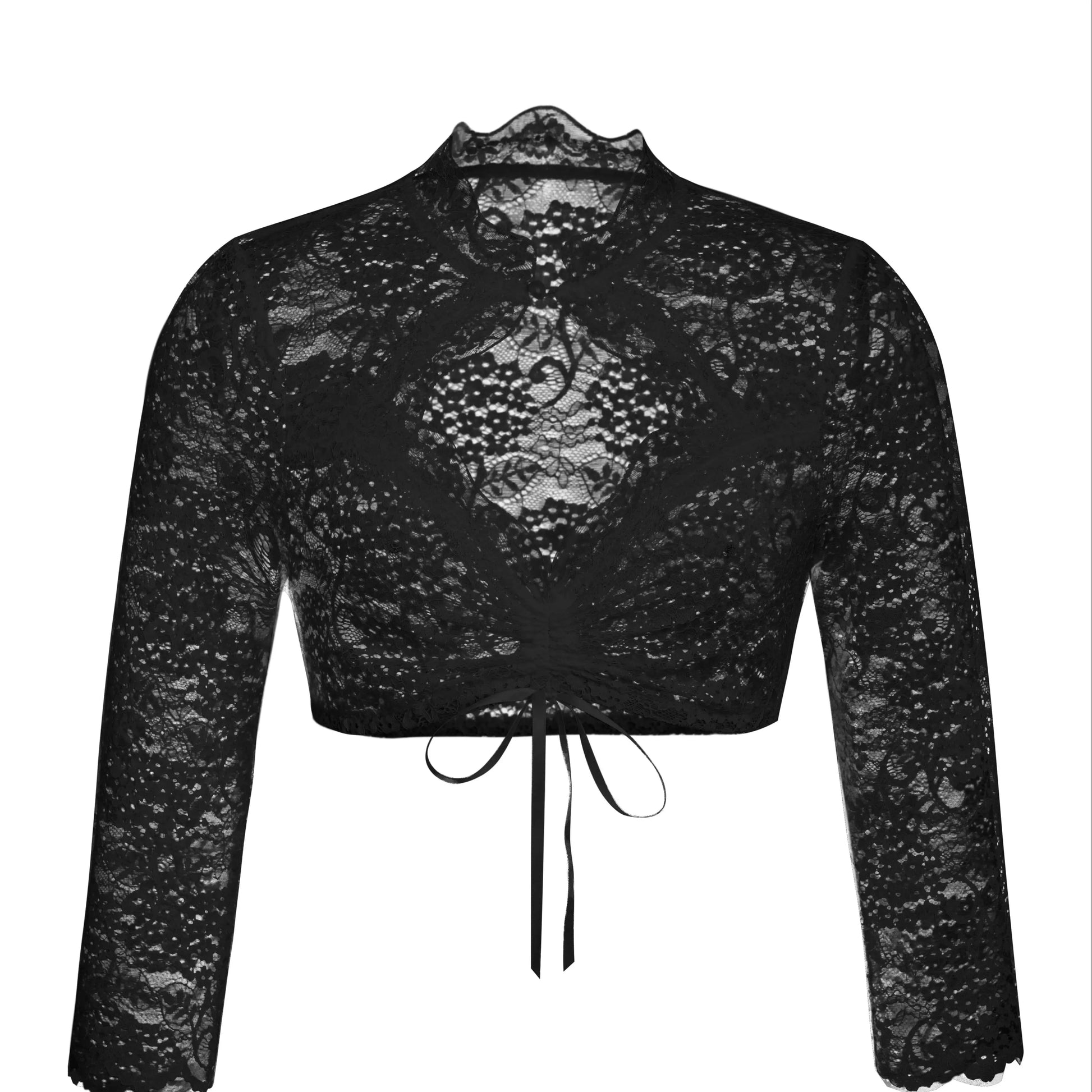 Vintage Goth Gothic Neo-Gothic Steampunk Punk See Through Lace Crop Top Long Sleeve